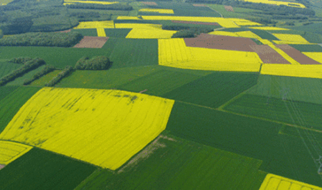Marché foncier – La Commission européenne projette la création d’un observatoire européen