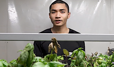 L’homme qui tente et réussit la permaculture au Pôle Nord