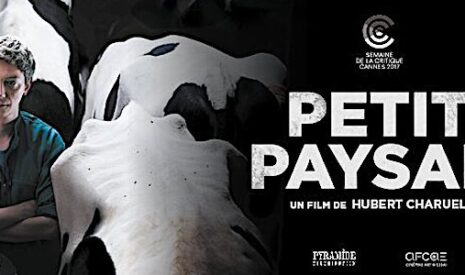 Cinéma, la bande annonce du film Petit Paysan