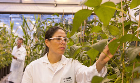 BASF innove avec des solutions intégrées pour accélérer la transformation de l’agriculture
