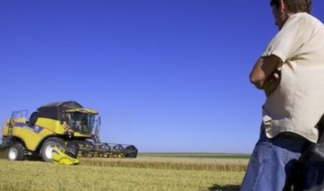 Agriculteur, le pire métier du monde ?