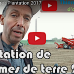 La plantation des pommes de terre sur le terrain