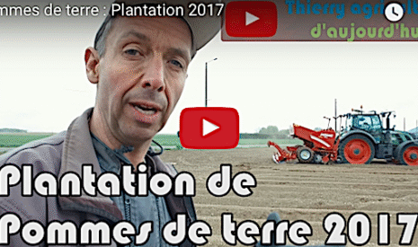 La plantation des pommes de terre sur le terrain