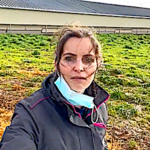 Plantation de haies pour agrémenter le parcours des poules