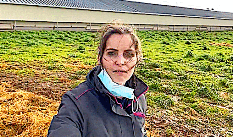 Plantation de haies pour agrémenter le parcours des poules