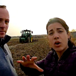Vignes, après l’arrachage comment préparer la plantation suivante