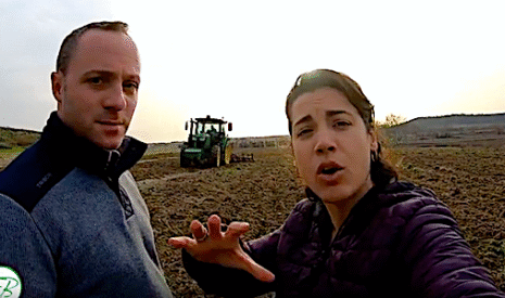 Vignes, après l’arrachage comment préparer la plantation suivante