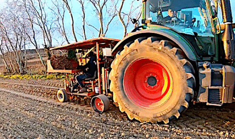 La plantation de nouvelles vignes