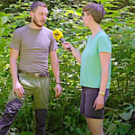 Les plantes invasives qui détruisent les forêts suisses