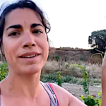Des nouvelles des jeunes vignes plantées en février