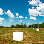 Plastiques et phosphates, des filières d’approvisionnement agricole à assainir écologiquement