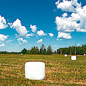 plastiques agriculture