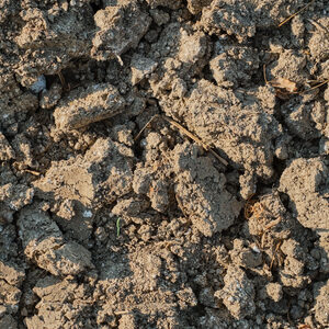 plowed field arable land after harvest top view background or screensaver idea about earth ecology and soil erosion growing ecoproducts