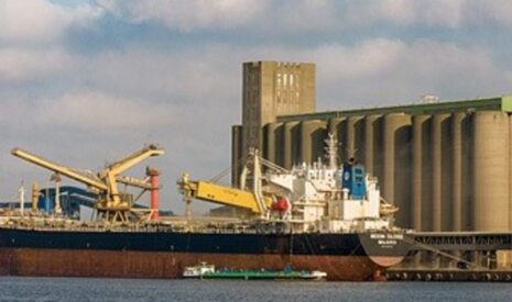 L’Ukraine exporte déjà ses futurs maïs