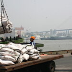 Marchés agricoles, la Chine souvent première de cordée