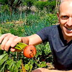 L’hiver approche… la rétro 2018 du potager d’Olivier
