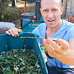 Comment enrichir le sol de son potager avec du BRF