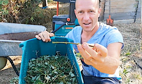 Comment enrichir le sol de son potager avec du BRF