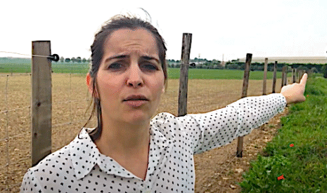 Aviculture, comment construire son poulailler professionnel