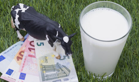 Prix du lait en juin 2016, du simple au triple selon les pays européens
