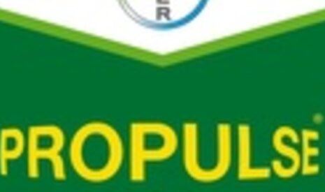 Propulse, une nouvelle spécialité pour préserver le potentiel de rendement du colza