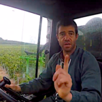 Champagne, dernière protection des vignes avant les vendanges