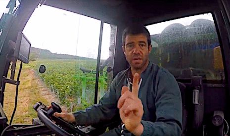 Champagne, dernière protection des vignes avant les vendanges
