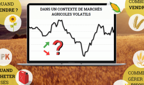 Piloter sa ferme : savoir vendre et acheter aux bons moments