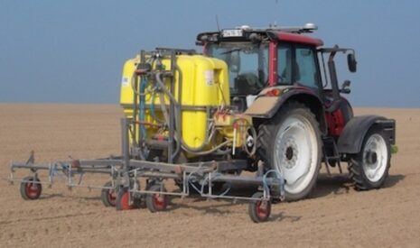 La bonne méthode pour désherber les betteraves sucrières