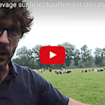Réchauffement climatique, la responsabilité des vaches est-elle surévaluée ?