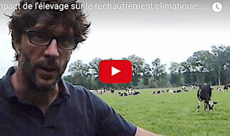 Réchauffement climatique, la responsabilité des vaches est-elle surévaluée ?
