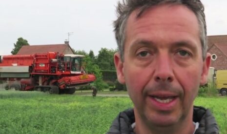 La récolte des pois de conserve