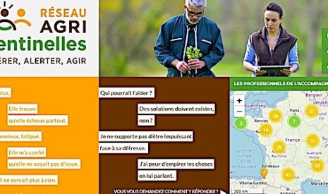 Suicide agricole, le réseau Agri Sentinelles sur Internet