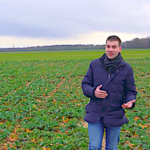 Comment réussir son colza dans un contexte de plus en plus difficile