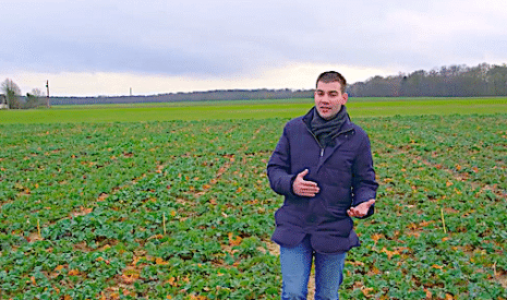Comment réussir son colza dans un contexte de plus en plus difficile