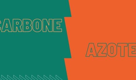 Bien comprendre l’importance du rapport carbone/azote ou C/N