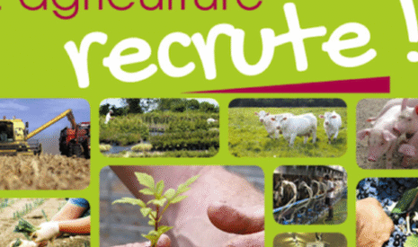 Semaine des métiers, l’agriculture recrute dans les Pays de la Loire