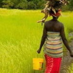 Un accord mondial majeur sur le foncier agricole