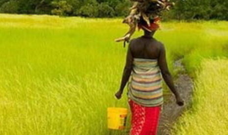 Un accord mondial majeur sur le foncier agricole