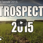Vidéo sans parole, la rétrospective 2015