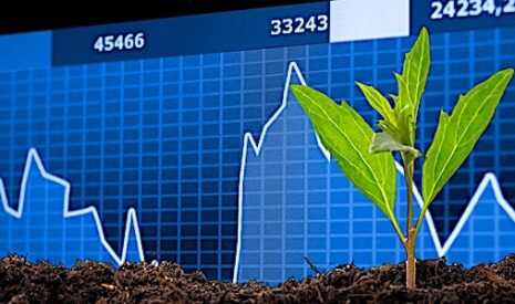 Pas de hausse du revenu agricole en perspective d’ici 2030 en Europe