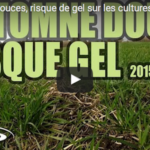 La douceur hivernale engendre un risque de gel des cultures