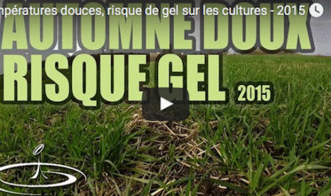 La douceur hivernale engendre un risque de gel des cultures