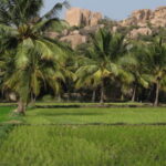 Bien nourrir 1,3 milliard d’Indiens d’ici 2020