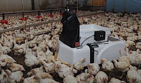 Innovation agricole, Octopus devient la première AgTech cotée en bourse