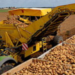 Sima 2019, déchargement des pommes de terre en continu