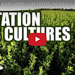 La rotation des cultures, pour améliorer la fertilité des sols