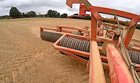 Des leviers agronomiques pour baisser le risque limaces