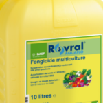 Le fongicide Rovral Aquaflo autorisé sur certaines cultures légumières