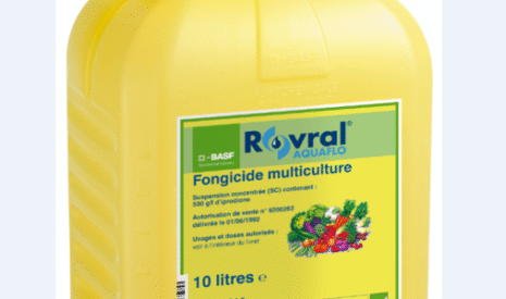 Le fongicide Rovral Aquaflo autorisé sur certaines cultures légumières